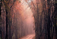 早自习：专注背书，拒绝分心