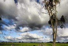 朝鲜族美食：惊艳味蕾的异国风味之旅