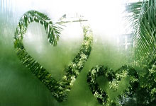 米花筒私人定制：打造专属您的美食之旅