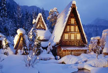 猫儿睡热蹬被：揭秘小猫的温暖小秘密