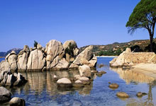 猫儿睡热蹬被：揭秘小猫的温暖小秘密